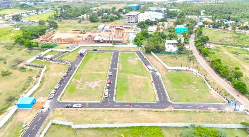 Royal C Plots