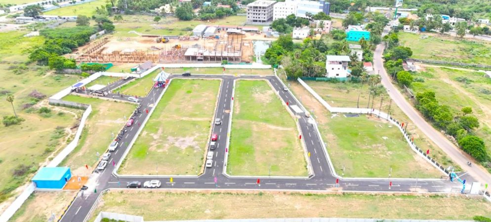Royal C Plots