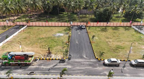 rps garden plot 11