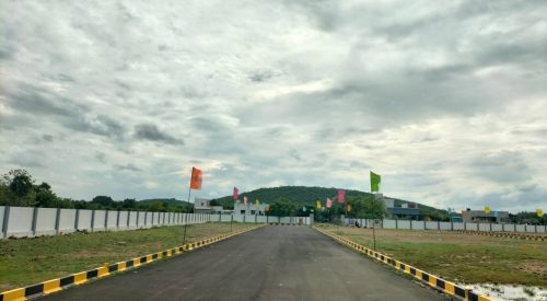 square phase 2 plot view 2