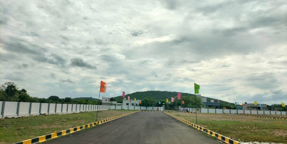 square phase 2 plot view 2