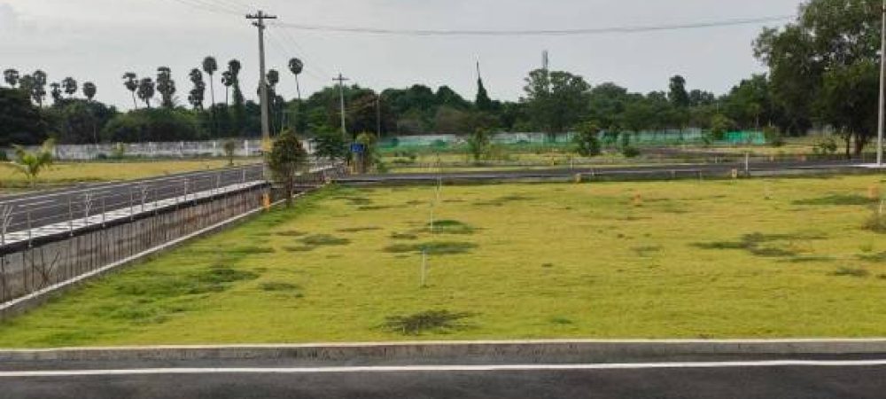 the royal plots 2