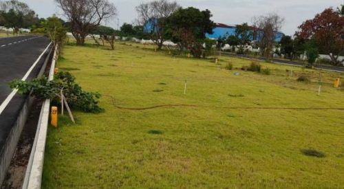 the royal plots 3