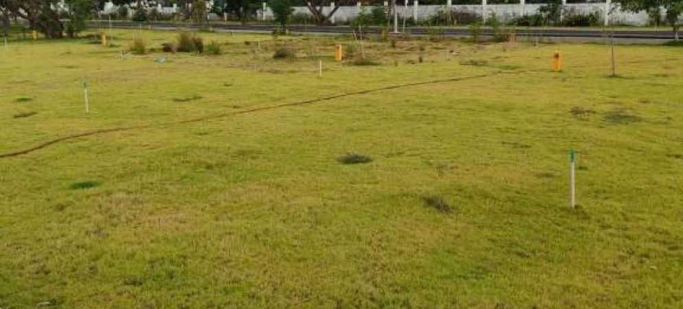 the royal plots 4