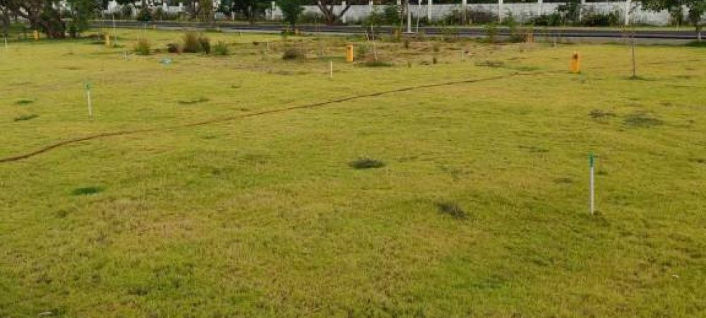 the royal plots 4