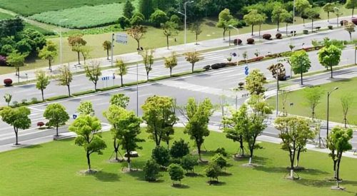 vanam at purva soukhyam plot View